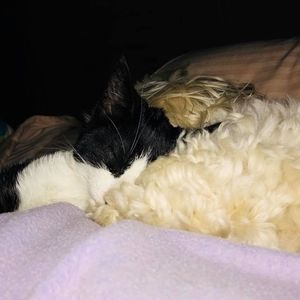 Meet your Posher, Marcia